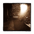 dailyPhoto20